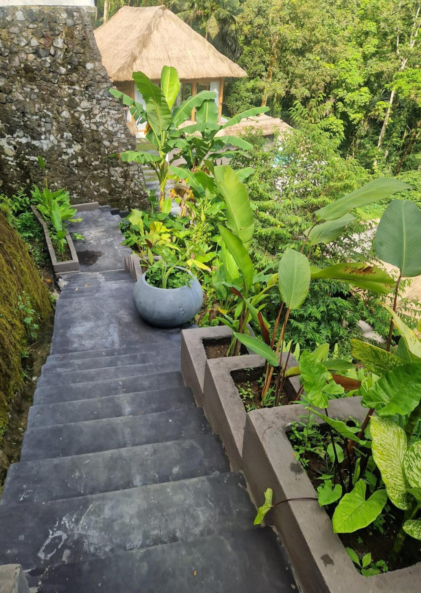 Muraya In Ubud Tegallalang (Bali)
